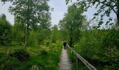 Tocht Stappen Gedinne - Balade dans les Fanges de l'Abîme - Gedinne - Photo 17