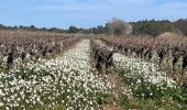 Tour Wandern Aumes - L’étendoir aux fées par Aumes - Photo 1