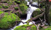 Trail On foot Cantagallo - Sentiero CAI 38 - Sez. Prato - Photo 9