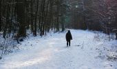 Trail On foot Unknown - S 21 Regensburg-Neuprüll - Unterirading [Walba] (Grünes Rechteck) - Photo 5