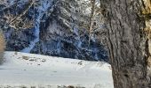 Tocht Sneeuwschoenen Bessans - Tour du plateau bessannais  - Photo 2