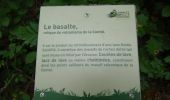 Excursión Senderismo Sallèdes - La forêt de la comté  - Photo 4