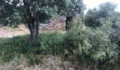 Randonnée Marche Conques-sur-Orbiel - Mur_aribaud_capitelles_réel raccourci parking allongé plus une capitelle - Photo 7