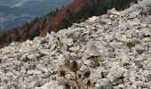 Randonnée Marche Beaumont-du-Ventoux - Mts Serein, Ventoux, tête de la Grave - Photo 3