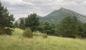 Randonnée Marche nordique Rémuzat - Tour du Montrond - Photo 2