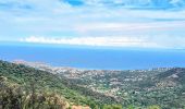 Tour Wandern L'Île-Rousse - Boucle Ile Rousse - Corbara - Pigna - Santa Réparata - Photo 10