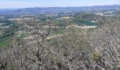 Tocht Stappen La Bégude-de-Mazenc - Serres forillon et monges - Photo 12