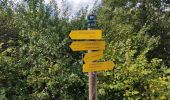 Trail Walking Tarascon-sur-Ariège - Tour de la pique de Tarrascon - Photo 3