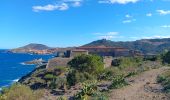 Tour Wandern Argelès-sur-Mer - argeles - collioure / retour par la mer  - Photo 15