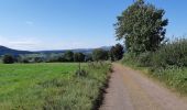 Tocht Stappen Aydat - Pessade depuis la Garandie - Photo 16