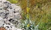 Trail Walking la Vall de Laguar - Benimaurell 250525 - Photo 9