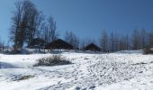 Excursión Senderismo Sewen - Sewen chalet du Graber - Photo 13