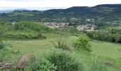 Randonnée Marche Blanzat - PLATEAU DE LA BADE - Photo 9