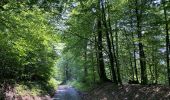 Tour Wandern Bièvre - Oizy 21 km - Photo 4