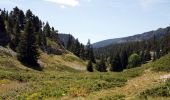 Randonnée Marche Châtillon-en-Diois - Cirque d'Archiane - Les Hauts Plateaux du Vercors - Photo 14