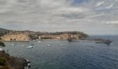 Trail Walking Port-Vendres - port vendres . l ouille / retour  - Photo 11