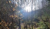 Tour Wandern La Roche-en-Ardenne - rando ornitho warempage 24/02/2021 - Photo 12