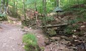 Trail Walking Spa - artistes . nelis . geronster . meyerber . artistes  - Photo 18