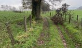 Trail Walking Theux - Tancremont 8 Km  - Photo 2