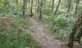 Tocht Stappen Seraing - Balade du Val à Yvoz en forêt  - Photo 6