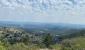 Tour Wandern Bédoin - Rando plutôt difficile  - Photo 2