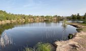 Trail Walking Roquebrune-sur-Argens - Roquebrune - MF de Palaison - Photo 5