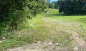 Trail Trail Sainte-Anne - Liard saint Robert  - Photo 1