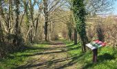 Randonnée Marche Boursay - Boursay - Le Moulin des Gaults - Photo 4