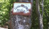 Trail Walking Grendelbruch - Le Piton du Falkenstein - Photo 2