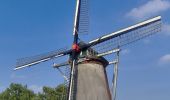 Percorso A piedi Dinkelland - Wandelnetwerk Twente - paarse route - Photo 9