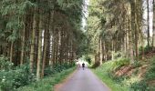 Trail Walking Vielsalm - La nature en questions   - Photo 6