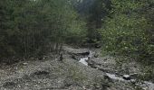 Tour Wandern Tréminis - Malraux Replat du Ménil  - Photo 1