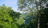 Trail Walking La Roche-en-Ardenne - A la découverte de Maboge 🥾 - Photo 11