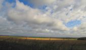 Randonnée Marche Haramont - en forêt de Retz_84_la Laie du Petit Bois d'Haramont - Photo 19