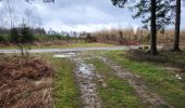 Tour Wandern Saint-Hubert - Arville 230323 - Photo 4