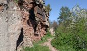 Tour Wandern Philippsburg - Falkenstein - Photo 8