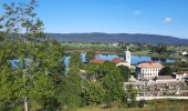 Tour Wandern Grande-Rivière-Château - GR_559_AE_05_Grande-Riviere-Chateau_Hauts-Bienne_20210918 - Photo 1