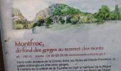 Tour Wandern Les Omergues - les Omergues à Montfroc - Photo 1