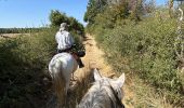 Trail Horseback riding Revest-du-Bion - Provence 2025 J5 - Photo 14