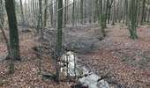 Tour Wandern Welkenrath - Welkenraedt - Eupen gare à gare 24 km - Photo 13