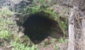 Tour Wandern Funchal (Santa Maria Maior) - Monte par le Levada do Bom Sucesso (Rother n°2 inversé) - Photo 13