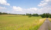 Tour Zu Fuß Beverungen - Galgenberg-Drenke-Selsberg - Photo 10