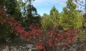 Trail Walking Nimes - Clos Gaillard - Photo 7