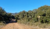 Trail Walking Aniane - grotte des reliques, montcalmes - Photo 9