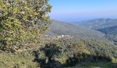 Trail Walking Sainte-Maxime - Vers Peigros - Photo 7