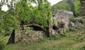 Randonnée Marche Saou - Forêt de Saou  - Photo 8