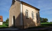 Tour Zu Fuß Neumarkt in der Oberpfalz - Steinbergrundweg - Photo 3