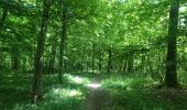 Randonnée Marche Musson - Tour de la forêt des Monts. - Photo 7