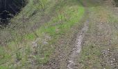 Trail Walking Albiez-Montrond - LE CRET DE LA COCHETTE  - Photo 4