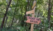 Randonnée Marche Treffort - Passerelles Monteynard  - Photo 3